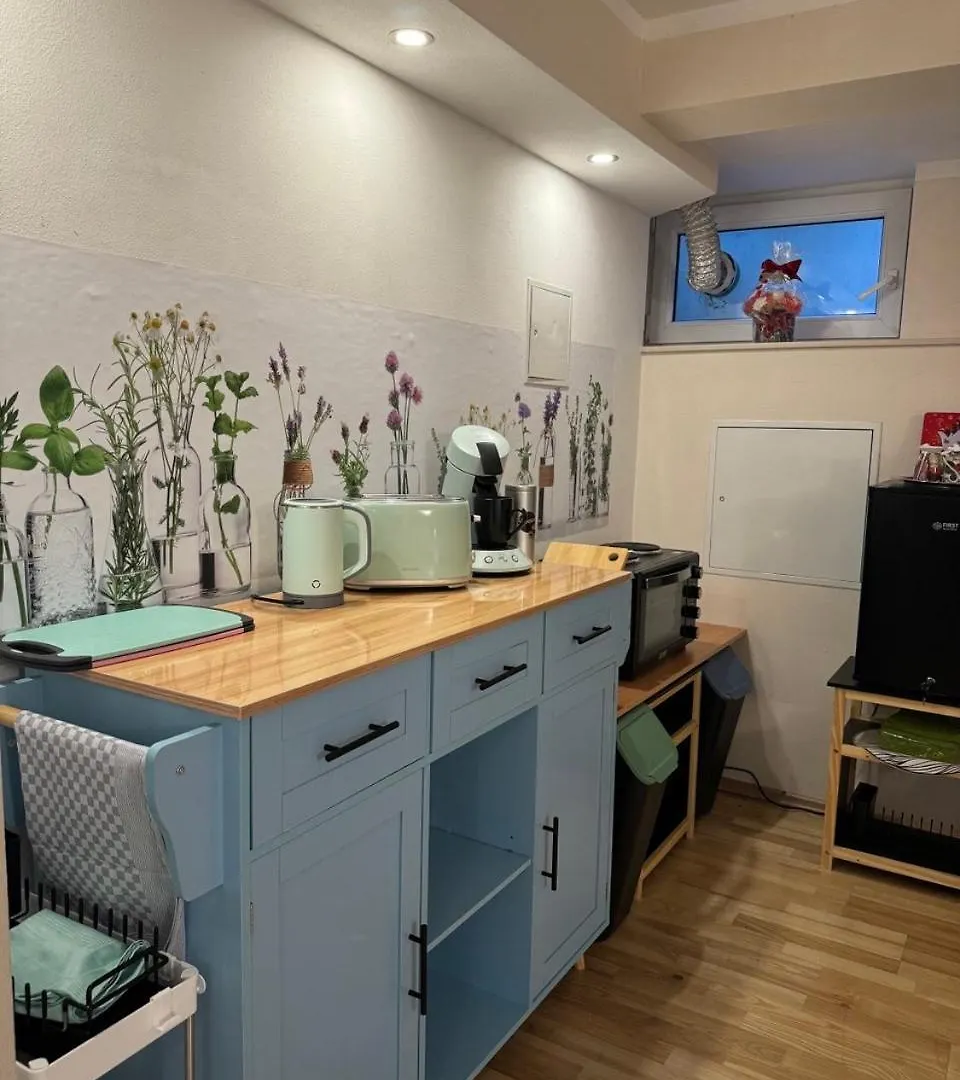 House Floor, Garden With Whirlpool, Small Breakfast, Vienna Thermal Baths, Close To U1 Station Apartman